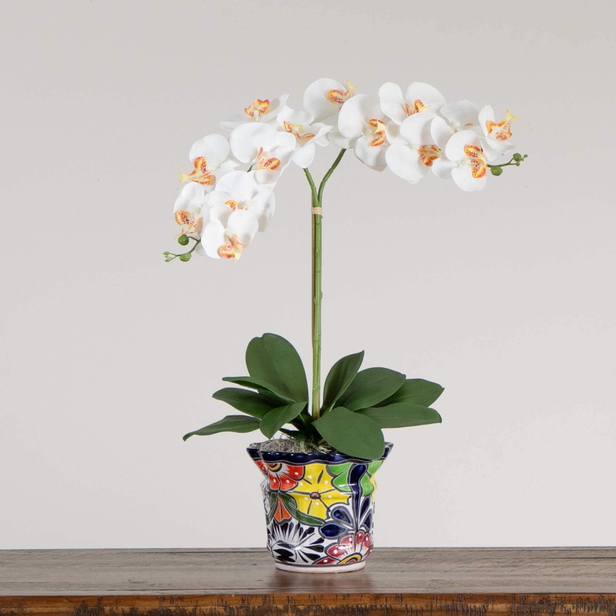 2ft. Artificial Double Orchid Arrangement in Handmade Mexican Talavera Ceramic Planter